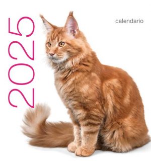 GATTI. CALENDARIO DA TAVOLO 2025