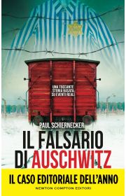 FALSARIO DI AUSCHWITZ (IL)