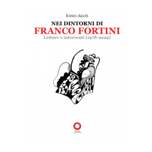 MEI DINTORNI DI FRANCO FORTINI